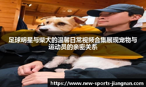 足球明星与柴犬的温馨日常视频合集展现宠物与运动员的亲密关系